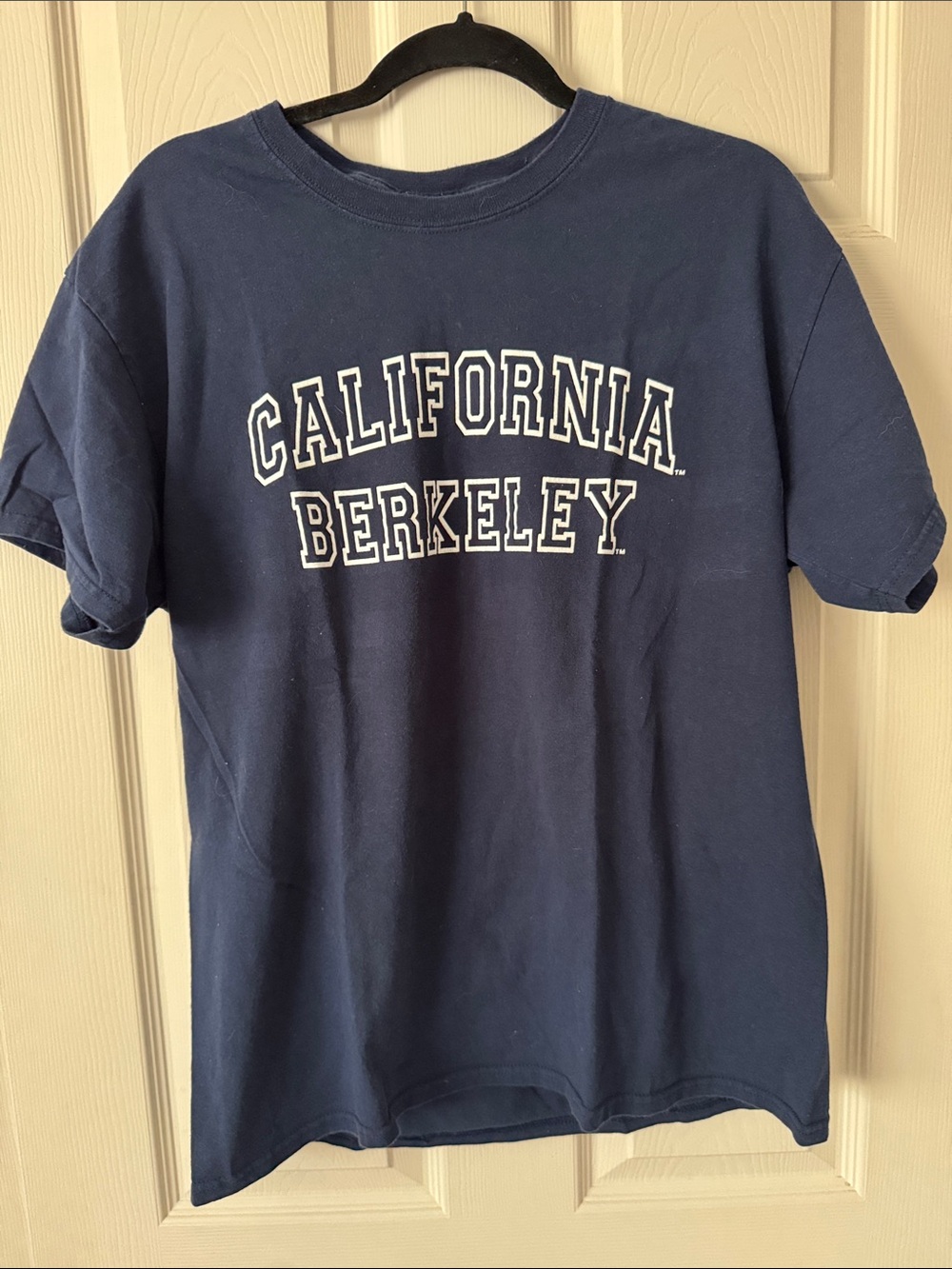 Vibtage California Berkeley Tee